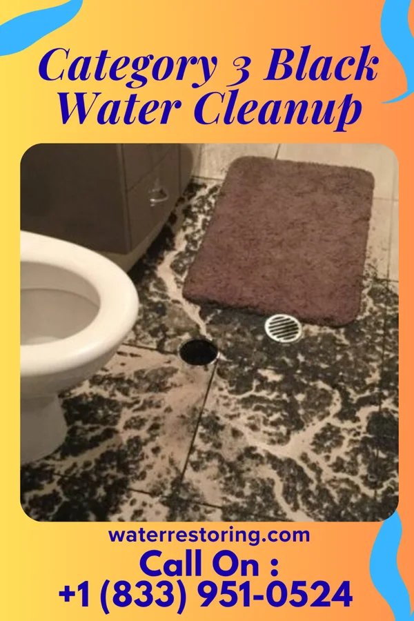 Category 3 Black Water Cleanup in Hoback, WY