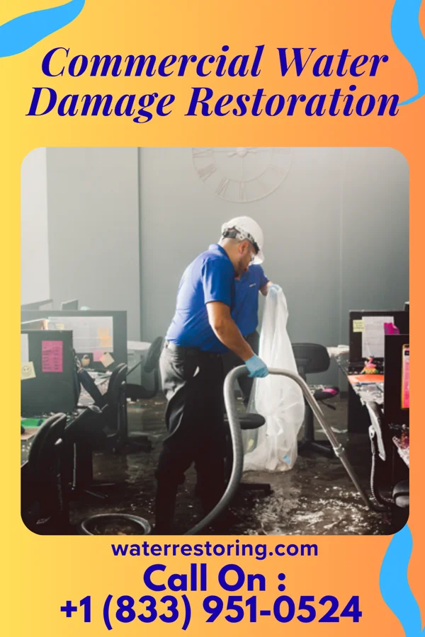 Commercial Water Damage Restoration in Hoback, WY