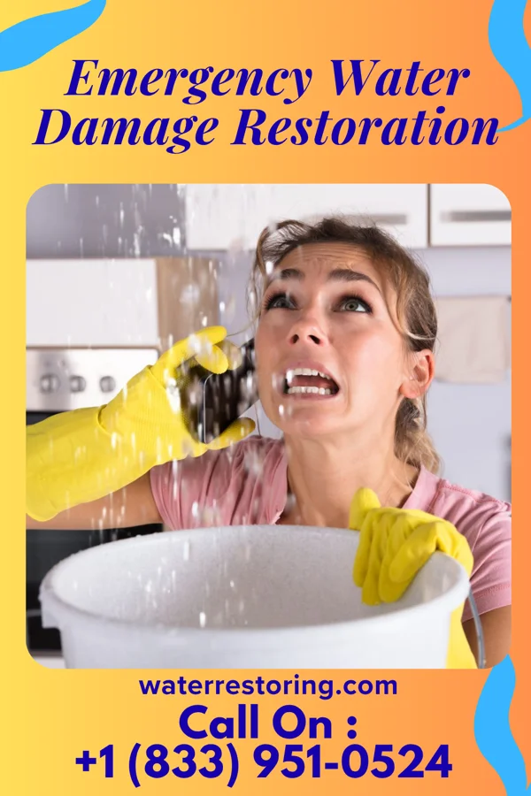Emergency Water Damage Restoration in Hoback, WY