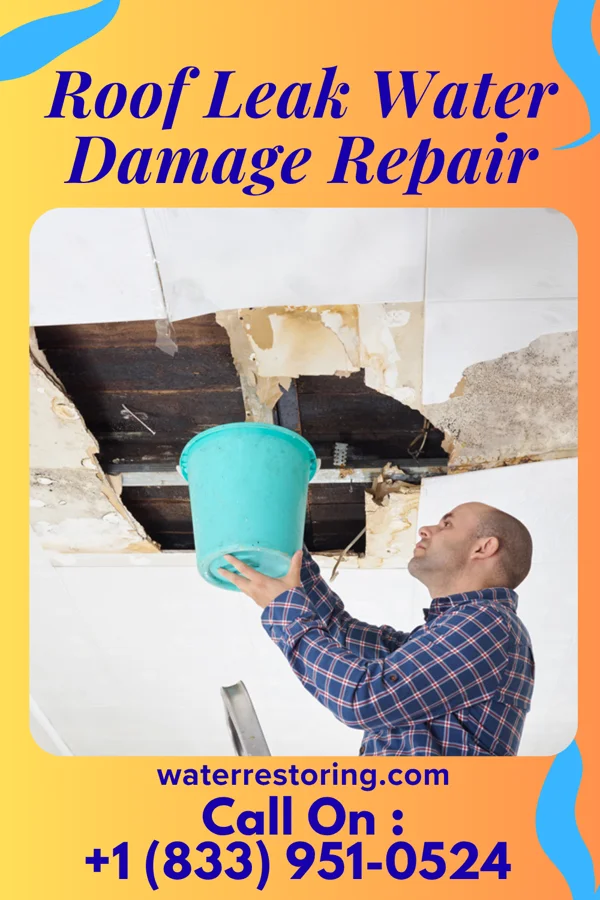 Roof Leak Water Damage Repair in Hoback, WY